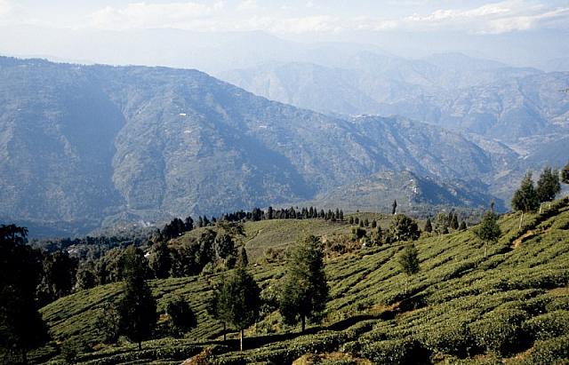 31 indien sikkim himalaya railway1281