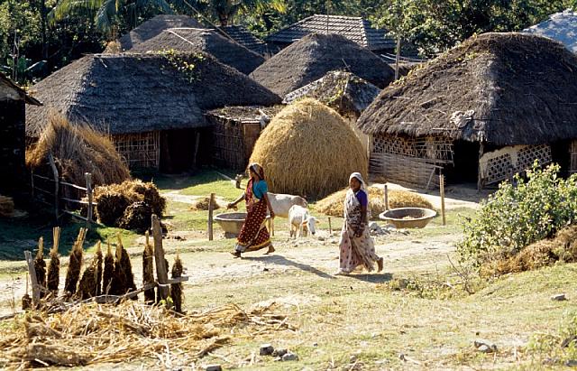 24 nepal ilam staudamm893 DxO