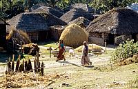 24 nepal ilam staudamm893 DxO